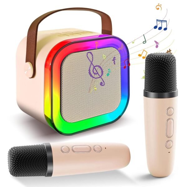 Mini Speaker With 2 Mike