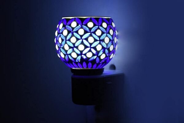 Kapoor Dani With Light