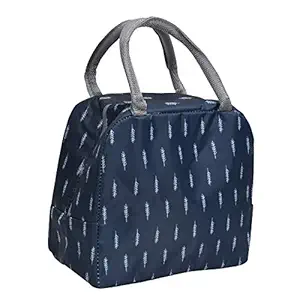 Insulated Lunch Bag